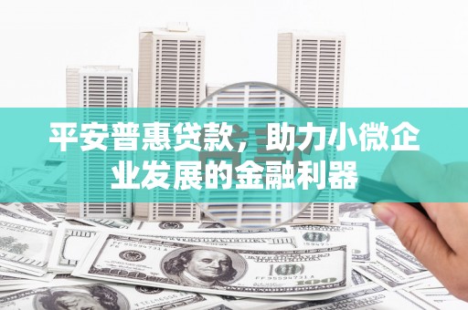 孟村平安普惠贷款，助力小微企业发展的金融利器