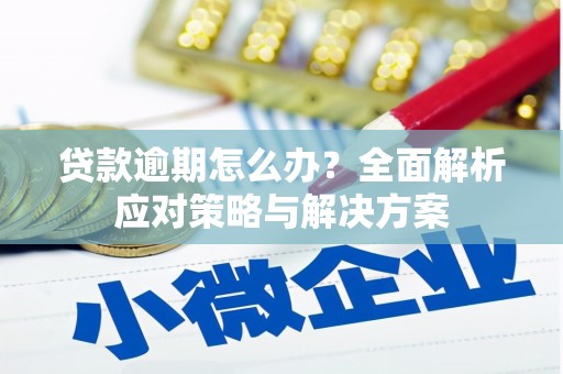 孟村贷款逾期怎么办？全面解析应对策略与解决方案