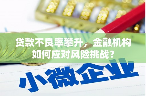 孟村贷款不良率攀升，金融机构如何应对风险挑战？