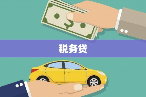孟村税务贷