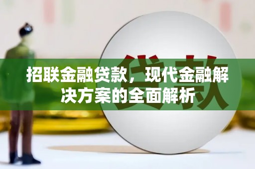 孟村招联金融贷款，现代金融解决方案的全面解析