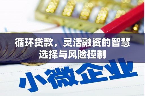 孟村循环贷款，灵活融资的智慧选择与风险控制