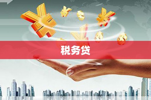 孟村税务贷