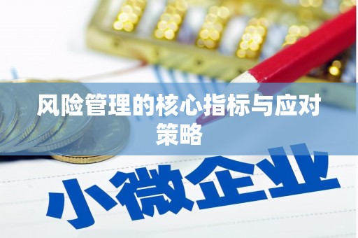 孟村风险管理的核心指标与应对策略