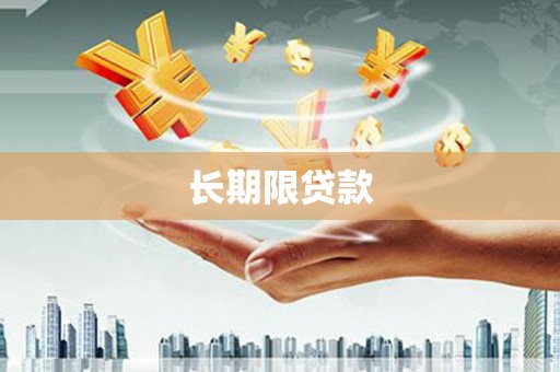 孟村长期限贷款