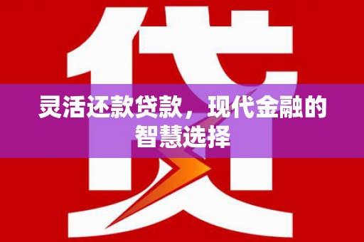 孟村灵活还款贷款，现代金融的智慧选择