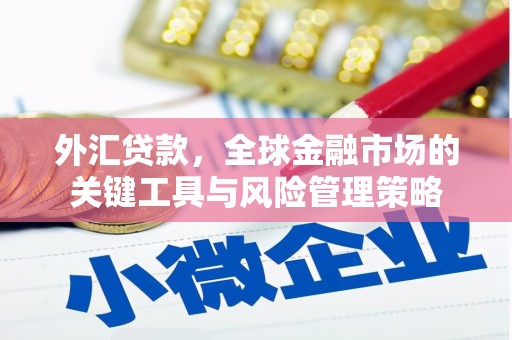 孟村外汇贷款，全球金融市场的关键工具与风险管理策略