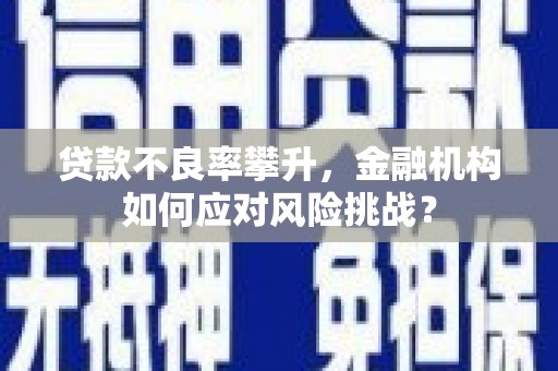 孟村贷款不良率攀升，金融机构如何应对风险挑战？