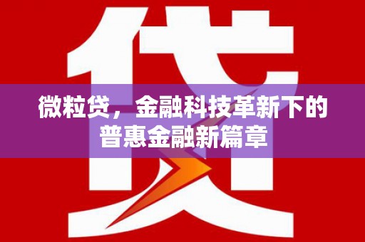 孟村微粒贷，金融科技革新下的普惠金融新篇章