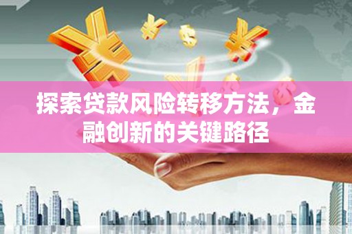 孟村探索贷款风险转移方法，金融创新的关键路径
