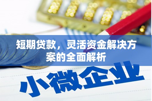 孟村短期贷款，灵活资金解决方案的全面解析