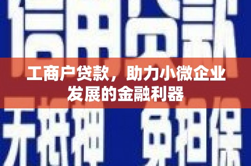 孟村工商户贷款，助力小微企业发展的金融利器