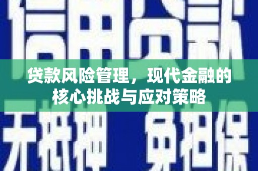 孟村贷款风险管理，现代金融的核心挑战与应对策略