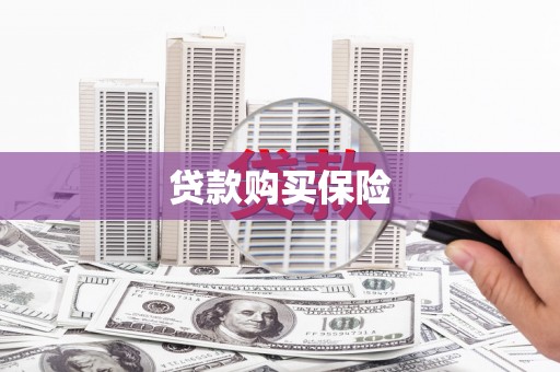孟村贷款购买保险