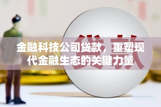 孟村金融科技公司贷款，重塑现代金融生态的关键力量