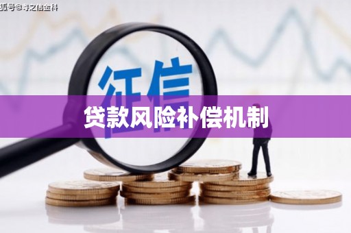 孟村贷款风险补偿机制