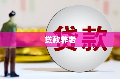 孟村贷款养老