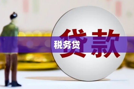 孟村税务贷