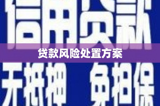 孟村贷款风险处置方案