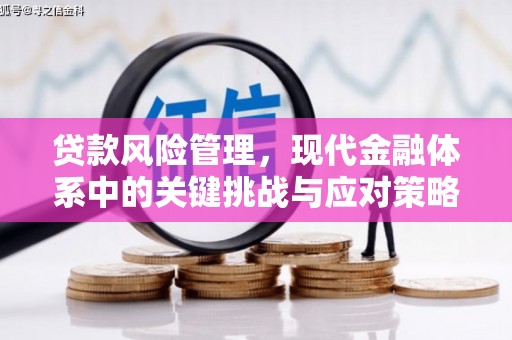 孟村贷款风险管理，现代金融体系中的关键挑战与应对策略