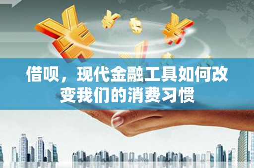 孟村借呗，现代金融工具如何改变我们的消费习惯