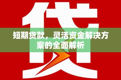 孟村短期贷款，灵活资金解决方案的全面解析