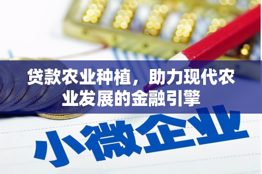 孟村贷款农业种植，助力现代农业发展的金融引擎