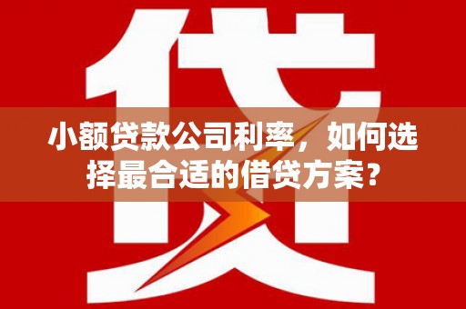 孟村小额贷款公司利率，如何选择最合适的借贷方案？