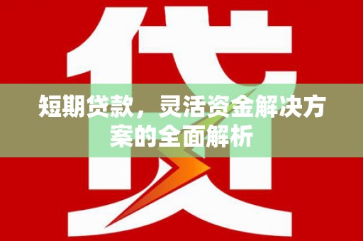 孟村短期贷款，灵活资金解决方案的全面解析