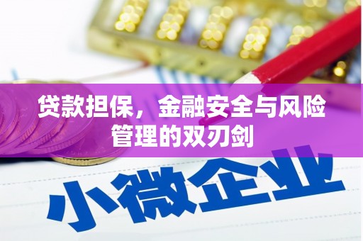 孟村贷款担保，金融安全与风险管理的双刃剑