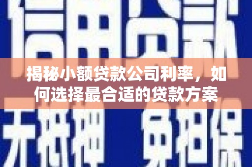 孟村揭秘小额贷款公司利率，如何选择最合适的贷款方案
