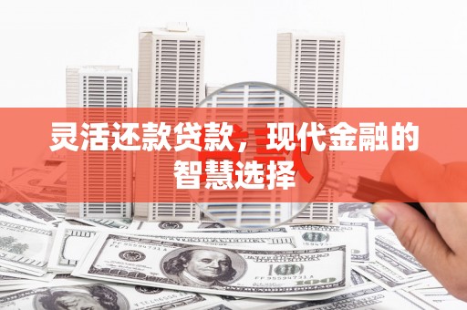 孟村灵活还款贷款，现代金融的智慧选择
