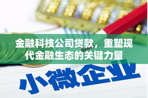 孟村金融科技公司贷款，重塑现代金融生态的关键力量