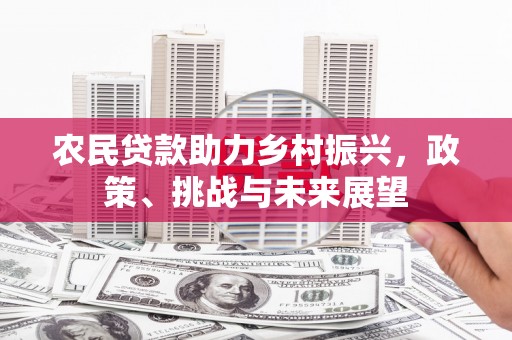 孟村农民贷款助力乡村振兴，政策、挑战与未来展望