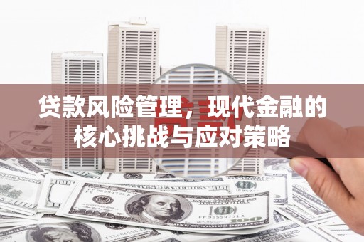 孟村贷款风险管理，现代金融的核心挑战与应对策略