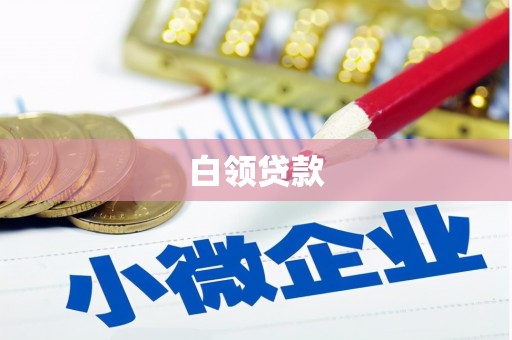 孟村白领贷款
