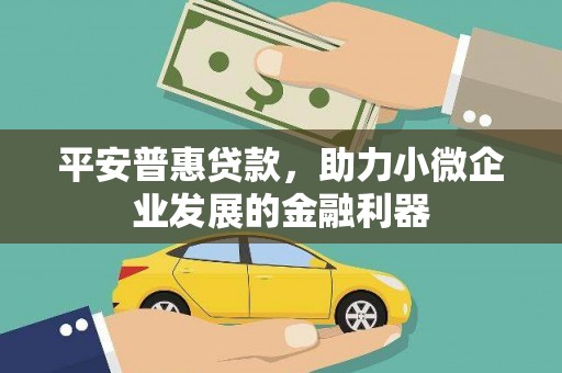 孟村平安普惠贷款，助力小微企业发展的金融利器