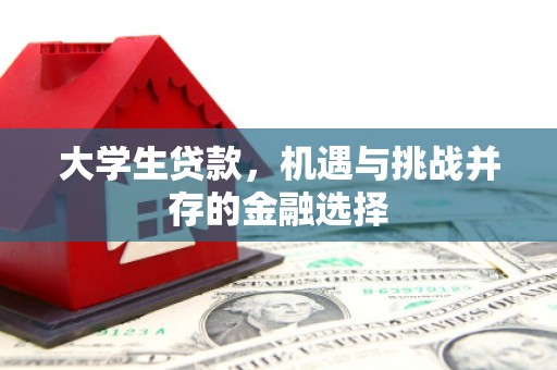 孟村大学生贷款，机遇与挑战并存的金融选择