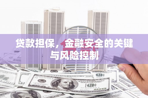 孟村贷款担保，金融安全的关键与风险控制