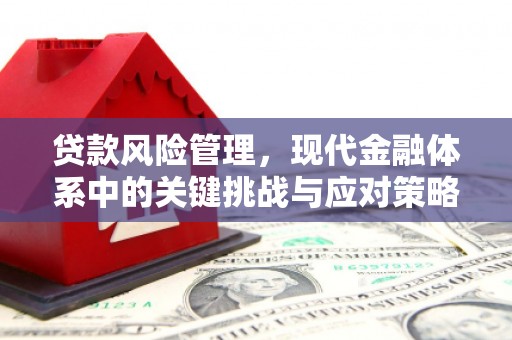 孟村贷款风险管理，现代金融体系中的关键挑战与应对策略