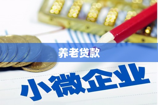 孟村养老贷款