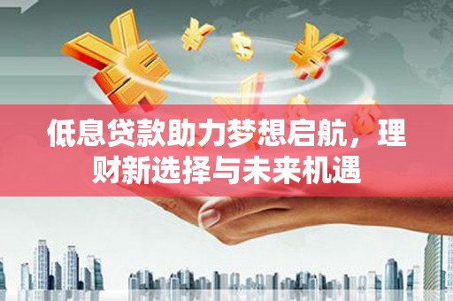 孟村低息贷款助力梦想启航，理财新选择与未来机遇