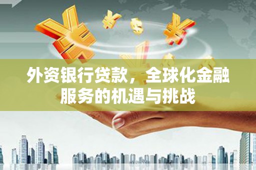 孟村外资银行贷款，全球化金融服务的机遇与挑战