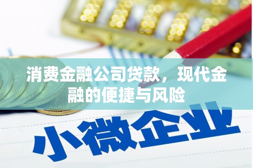 孟村消费金融公司贷款，现代金融的便捷与风险