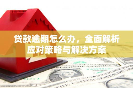 孟村贷款逾期怎么办，全面解析应对策略与解决方案
