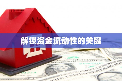 孟村解锁资金流动性的关键