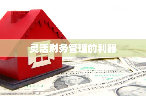 孟村灵活财务管理的利器