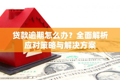 孟村贷款逾期怎么办？全面解析应对策略与解决方案