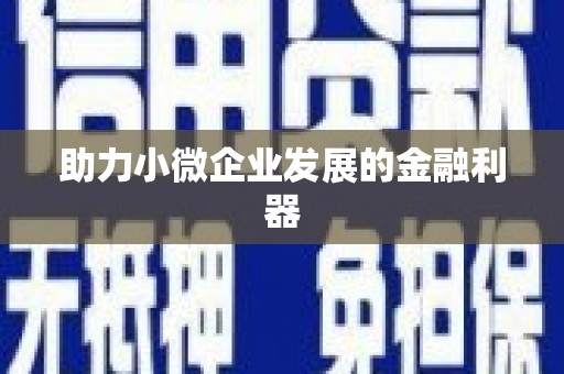 孟村助力小微企业发展的金融利器