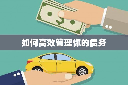 孟村如何高效管理你的债务